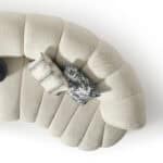 Modern curved Morella sofa with plush beige upholstery and decorative pillows.
